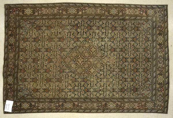 Rug#: 114429 Rug Size: 7 ft x 10.9 ft Rug#: 114429 Rug Size: 7 ft x 10.9 ft