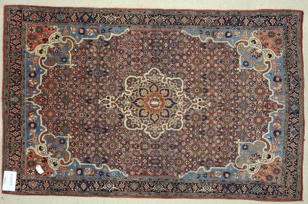 Rug#: 7900 Rug Size: 6.11 ft x 9.10 ft Rug#: 7900 Rug Size: 6.11 ft x 9.10 ft